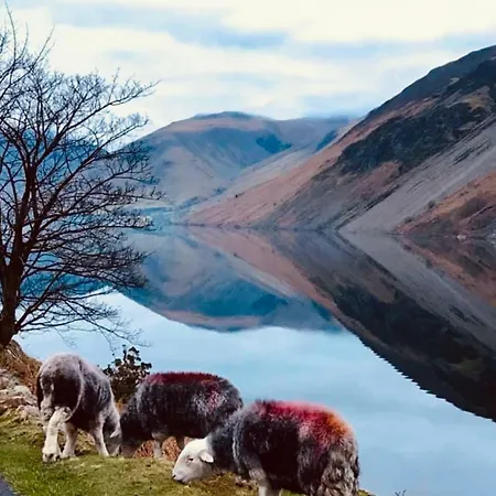 Fell View Croft Ferienhaus *