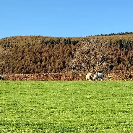 Fell View Croft 度假居 Egremont (Cumbria)